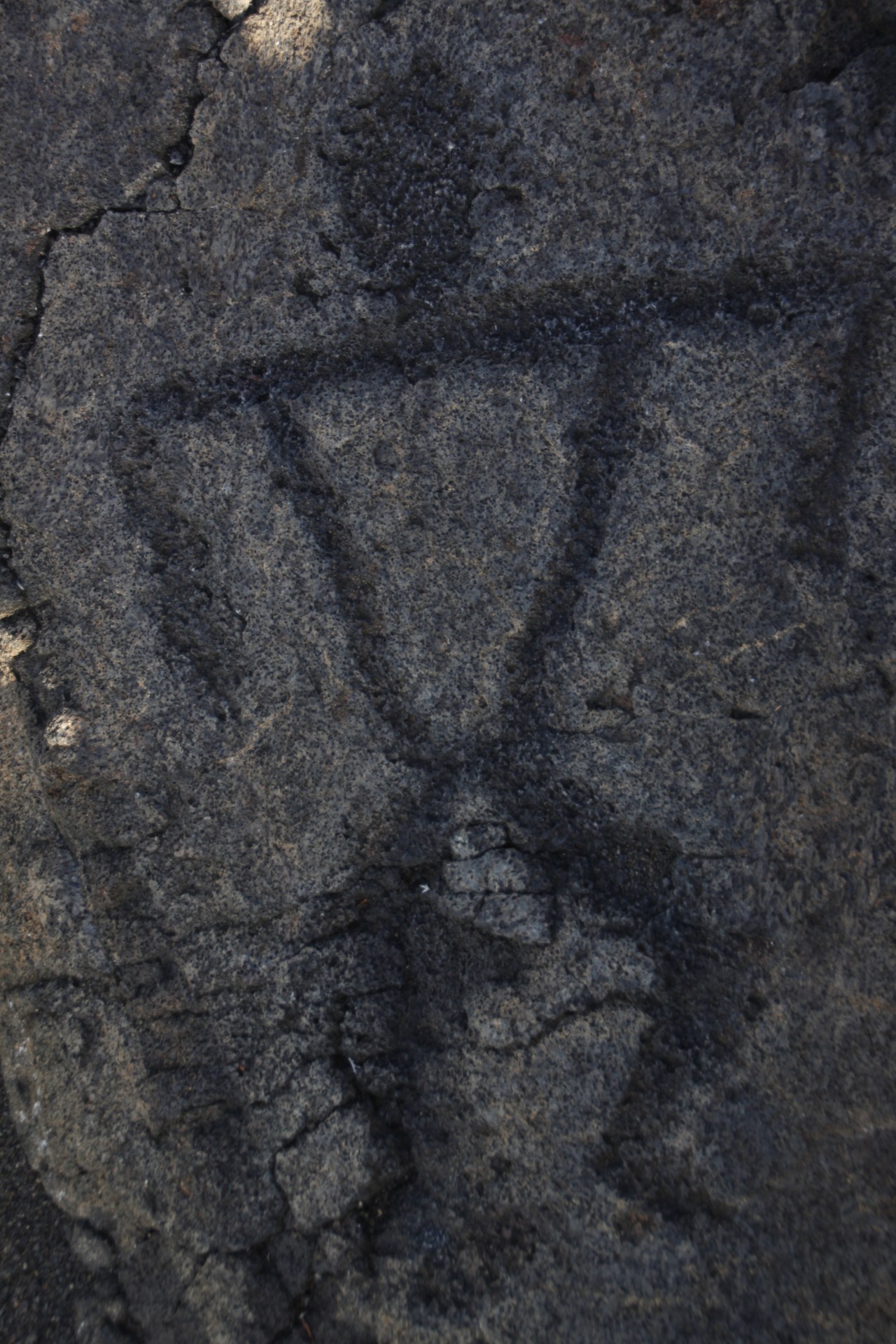 End of the road, Big island,&nbsp;Hawaii