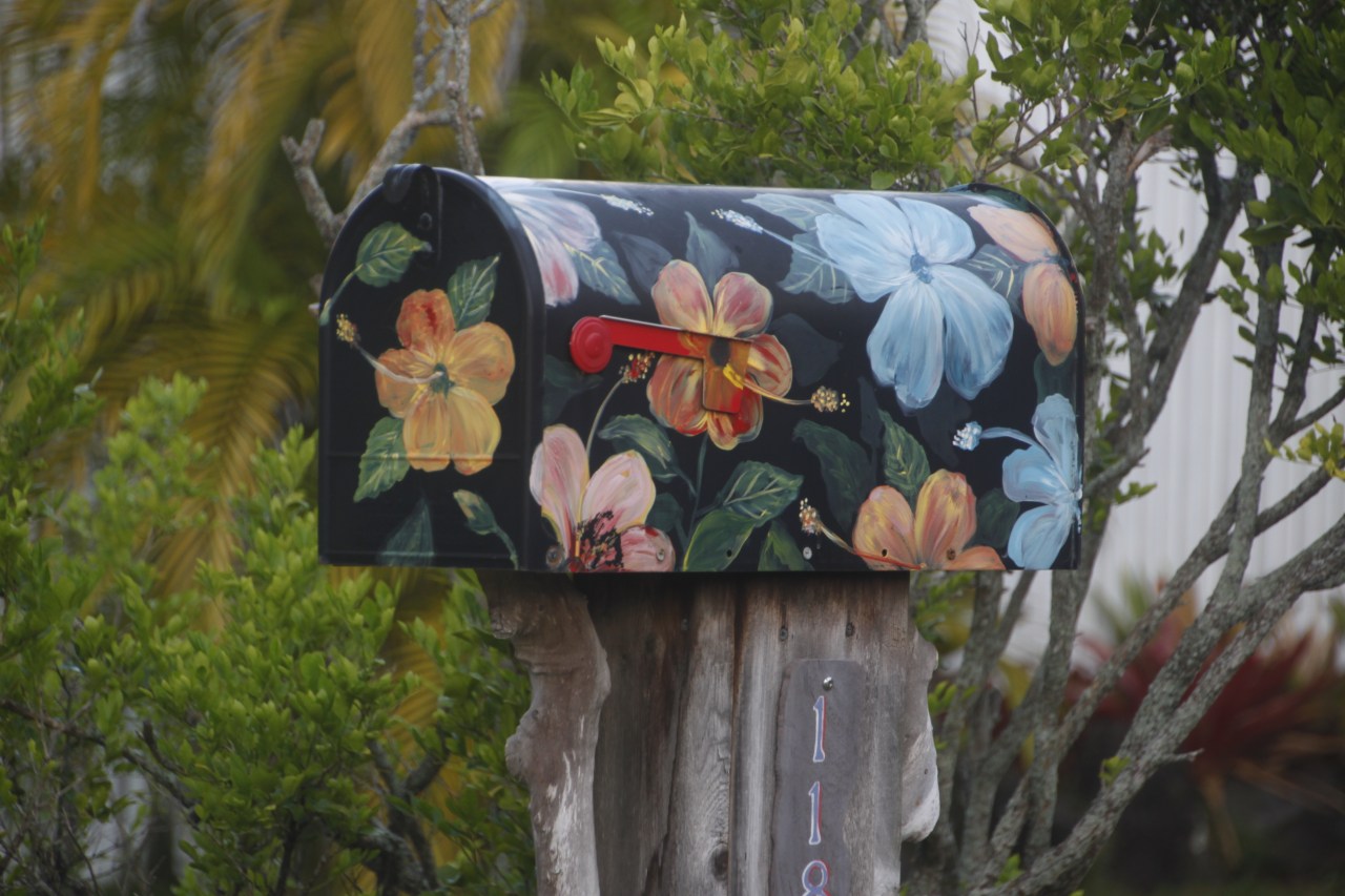 Hanalai Bay, Kauai,&nbsp;Hawaii