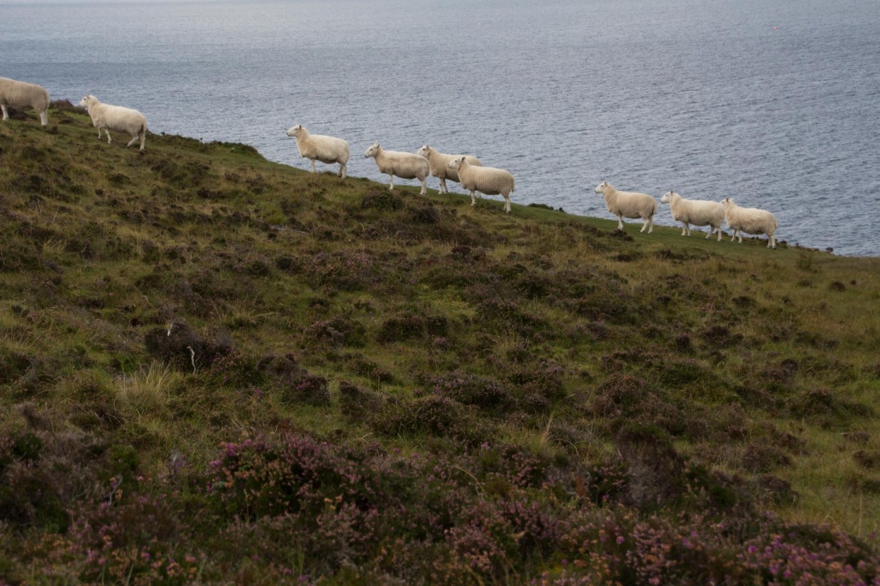 île de Skye,&nbsp;Écosse
